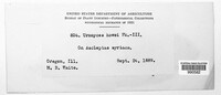 Image Associated With the Occurence